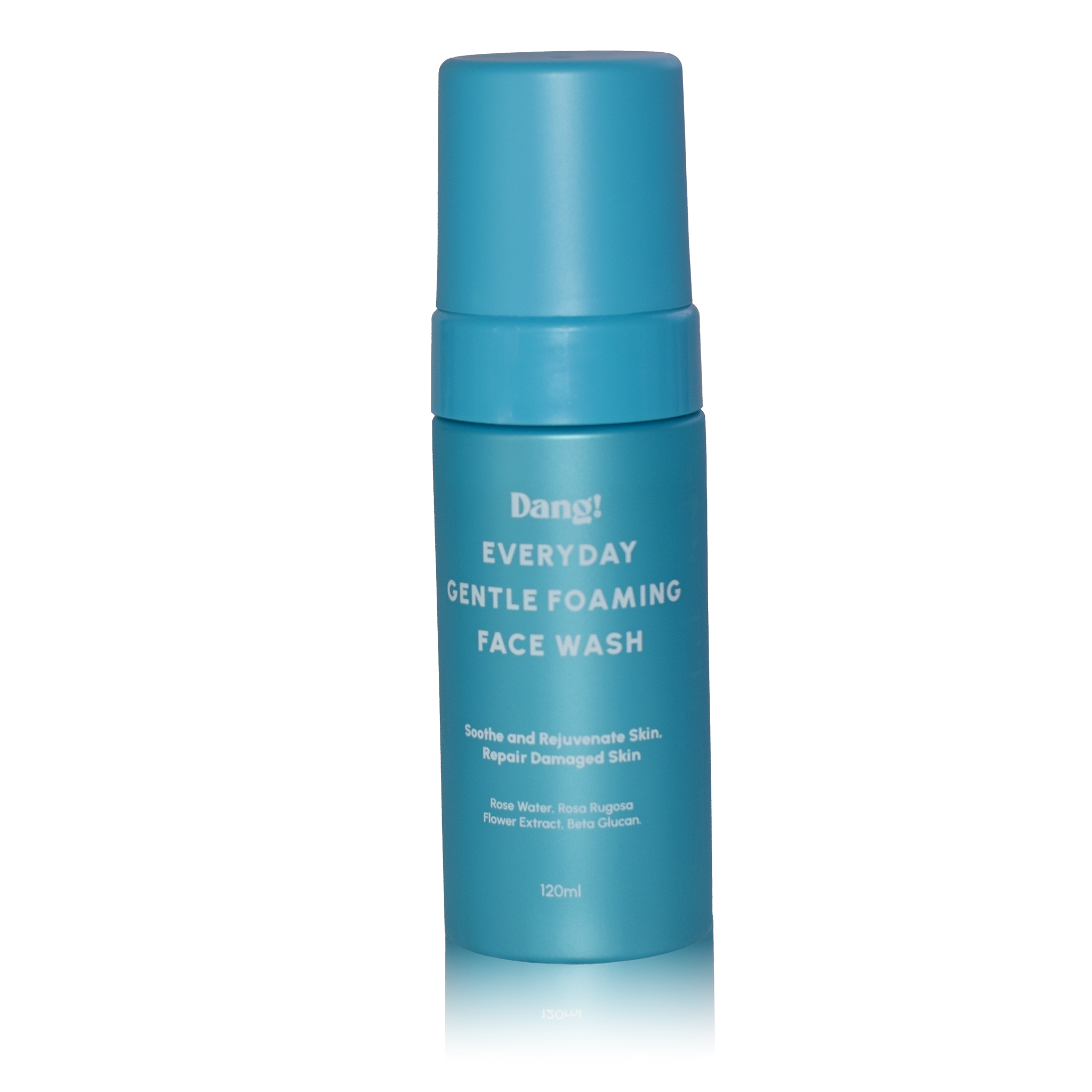 Dang! Everyday Gentle Foaming Face Wash 120ml blue bottle at Bracketts Beauty